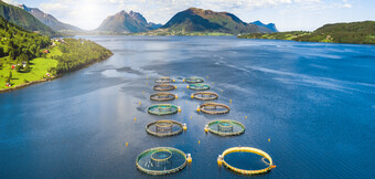 Compresseur d'air pour l'aquaculture – Solution optimisée en énergie de KAESER KOMPRESSOREN pour des besoins en air comprimé durables.