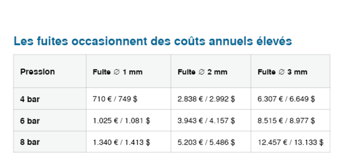 Les coûts occasionnés par les fuites peuvent atteindre 12 457 € par an.